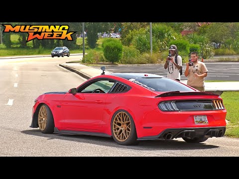 Mustang Week 2024 Cars & Coffee Pullouts & Cops (Mostly Chill)