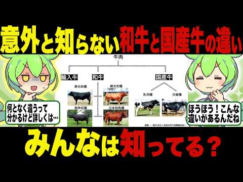 みんなはどれだけ知ってる？和牛と国産牛の違い、ブランド牛の成り立ち【ずんだもん＆ゆっくり解説】