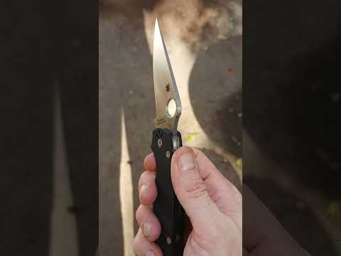 Spyderco Para Military 2: S45VN/G10/Sal Glesser/Eric Glesser