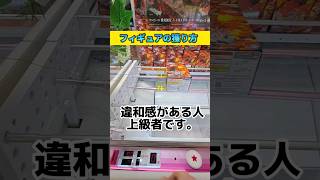 【クレーンゲーム】初心者の95%は見逃す橋渡し攻略法！【 ufoキャッチャー 橋渡し攻略 ワンピース 】