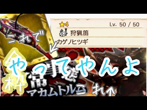 【MHXR】金枠ですが？{非常事態アカムトルム} 【1080p】