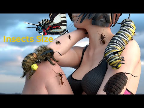 Insects Size Comparison in Human Body | #compariosn