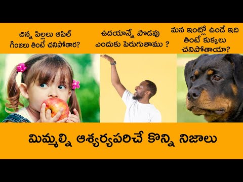 Amazing  Facts About Daily Life |Top Ten Amazing Facts Telugu 2023 |Telugu Facts || Unknown Facts