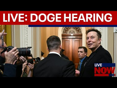 LIVE: House committee hearing on DOGE in Washington D.C. | LiveNOW from FOX