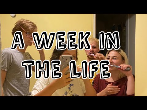 A week in the life of the mouse house (quarantine edition)