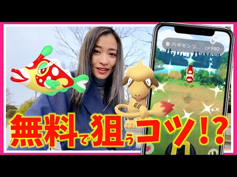 ポケモンGO、運営がスコープリーに！？無料で色違いハギギシリを狙うコツ！？カラーフェスティバル初日レポート！！【ポケモンGO】