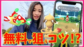 ポケモンGO、運営がスコープリーに！？無料で色違いハギギシリを狙うコツ！？カラーフェスティバル初日レポート！！【ポケモンGO】