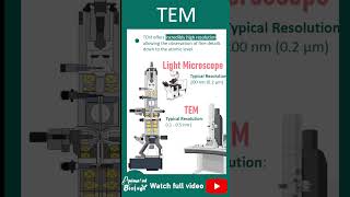 Transmission Electron Microscopy  (TEM)  explained in 1 minutes | Techniques in biology playlist