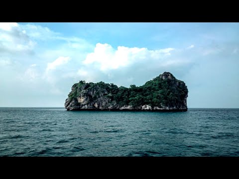 無人島に漂流しちゃった男。【無人島】