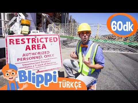 Blippi Bir Limanı Ziyaret Ediyor - Çocuklar İçin İnşaat Araçlarını Öğreniyoruz | Blippi Türkçe