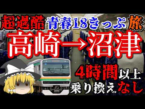 【超過酷 青春18きっぷ旅】高崎→沼津 直通列車に乗車したら過酷すぎた....