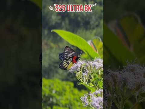 s25 ultra 8k video #nature #nepal #video