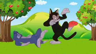 multiple clips of tom and Jerry #tomandjerry #tom #jerry #tomandjerrytrailer  #tomandjerrycouple