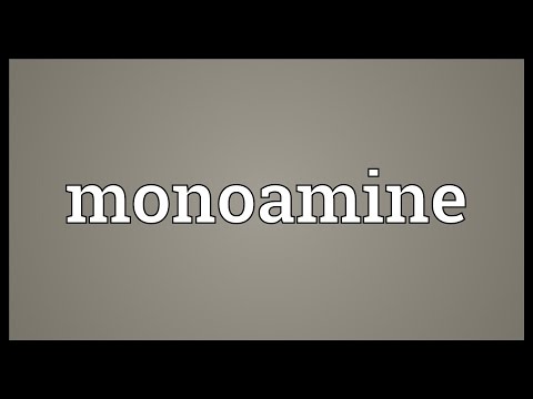 Monoamine Meaning