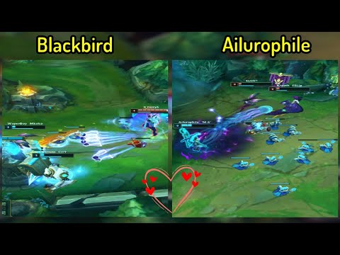 1v2 Bot Lane | Blackbird ♥ AiIurophile