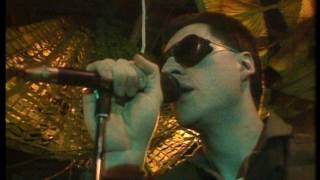 Front 242 - No Shuffle (Live 1985)