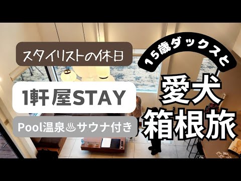 【愛犬と箱根旅】【一軒家ステイ】温泉♨️プール&サウナ付き✨【最新箱根湯本情報】仲間とのんびりなスタイリストの休日♪#愛犬と旅行 #箱根湯本 #強羅 #箱根登山鉄道