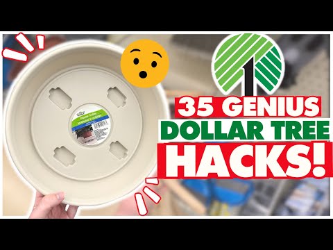 35+ BEST KEPT SECRET Dollar Tree Hacks you MUST TRY in 2025 😮 Organizing, Cleaning, DIY, & Decor