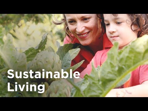 7 Sustainable Living Ideas