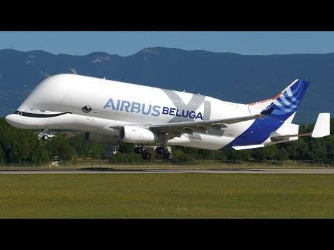 4K | **RARE** Airbus A330-700L Beluga XL 2x touch and go at Geneva/GVA/LSGG