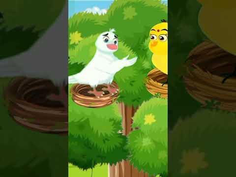 zalim Kauwa|#dreamstories #short #shortvideo #chidiyawalacartoon #tunichidiya #kauwakikahani #birds