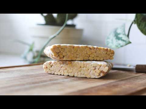 How to make tempeh at home from SCRATCH!