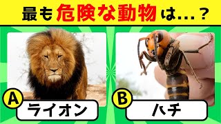 【全50問の動物知識クイズ】あなたの動物知識はどれくらいかな？