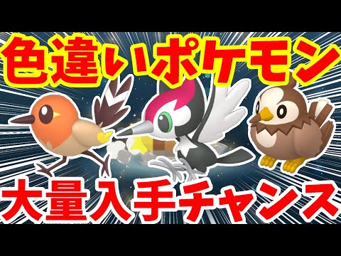 【ポケモンSV】色違い確率アップな特別なポケモンイベントプレゼント情報まとめ！【ポケモンスカーレットバイオレット・ゼロの秘宝】