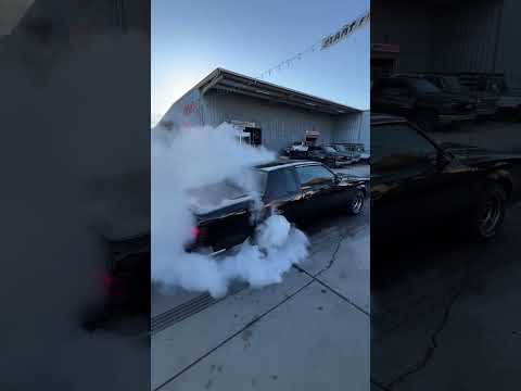 Is the GNX a Burnout KING?