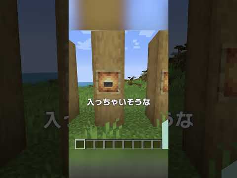 謎すぎるマインクラフトのヤバいミス！？【マイクラ豆知識 解説 裏技】