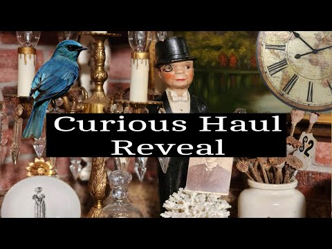 Huge Haul of UNCOMMON Antiques and Vintage