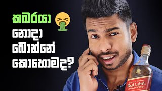 කබරයා නොදා බොමු