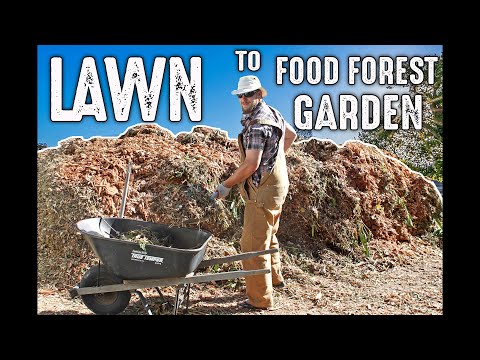 Unbelievable Yard Transformation! From A Boring Lawn To An Abundant Food Forest Garden!!