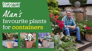 Five plants for containers | Alan Titchmarsh's top container plants