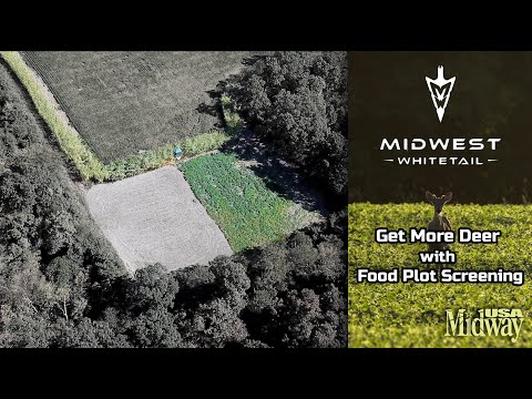 Get More Deer with Food Plot Screening | Midwest Whitetail