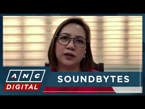 WATCH: Rep. Janette Garin weighs in on Duterte ICC arrest, 2025 nat'l budget, dengue cases | ANC