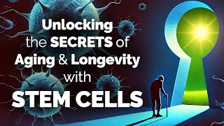 Unlocking the Secrets of Aging & Longevity with Stem Cells