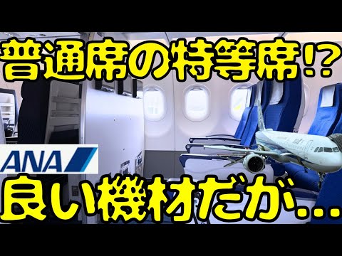 アレが故障！ANA小型機で最も当たりの機体を引き当て大阪に帰ろうとすると...