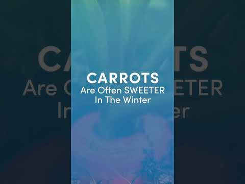 Why do carrots taste sweeter in the Winter? (ageRejuvenation)