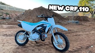 First Look at ALL NEW 2023 CRF 110! FAST!!