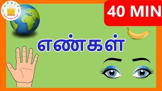 எண்கள் 1-10 | Learn Numbers in Tamil for Kids |Number Collection Videos for children| Tamilarasi