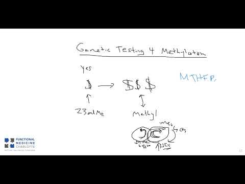 Genetic Testing for Methylation - what are options and considerations?