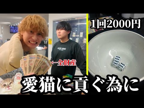 高級ポケカが貰える闇サイコロで勝った金は全てレウ様に使います