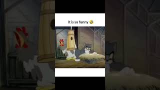 tom and Jerry #tom #uk #tomandjerry #tomandjerrycouple #jerryfunny #tomfunny #tomfunnyvideo