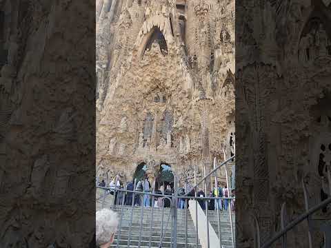 Sagrada Familia #sagradafamília