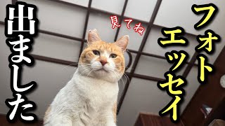 フォトエッセイ発売記念ライブ「元野良猫チャチャの毎日」