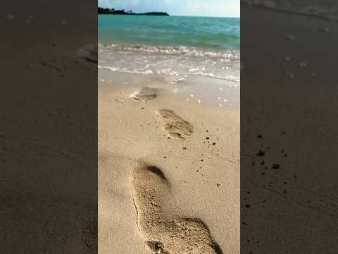 Who’s dreaming of the beach on this cold day? #travel #caribbeanparadise #beach #turksandcaicos