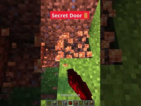 Minecraft Secret Door🚪 #shorts