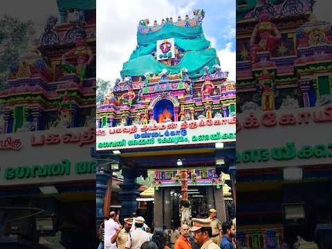 Mandaikadu Bhagavathi Amman temple 🛕 Flag hosting festival day 1 #womensabarimala #kanyakumari #flag