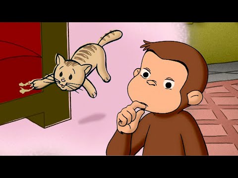 The Mystery Cat Scratches 🐵 Curious George | Animal Friends